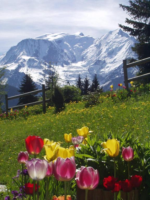 Apartment Marie Mont Blanc Vue Mont Blanc Saint-Gervais-les-Bains